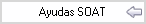 ./ayudasoat.html